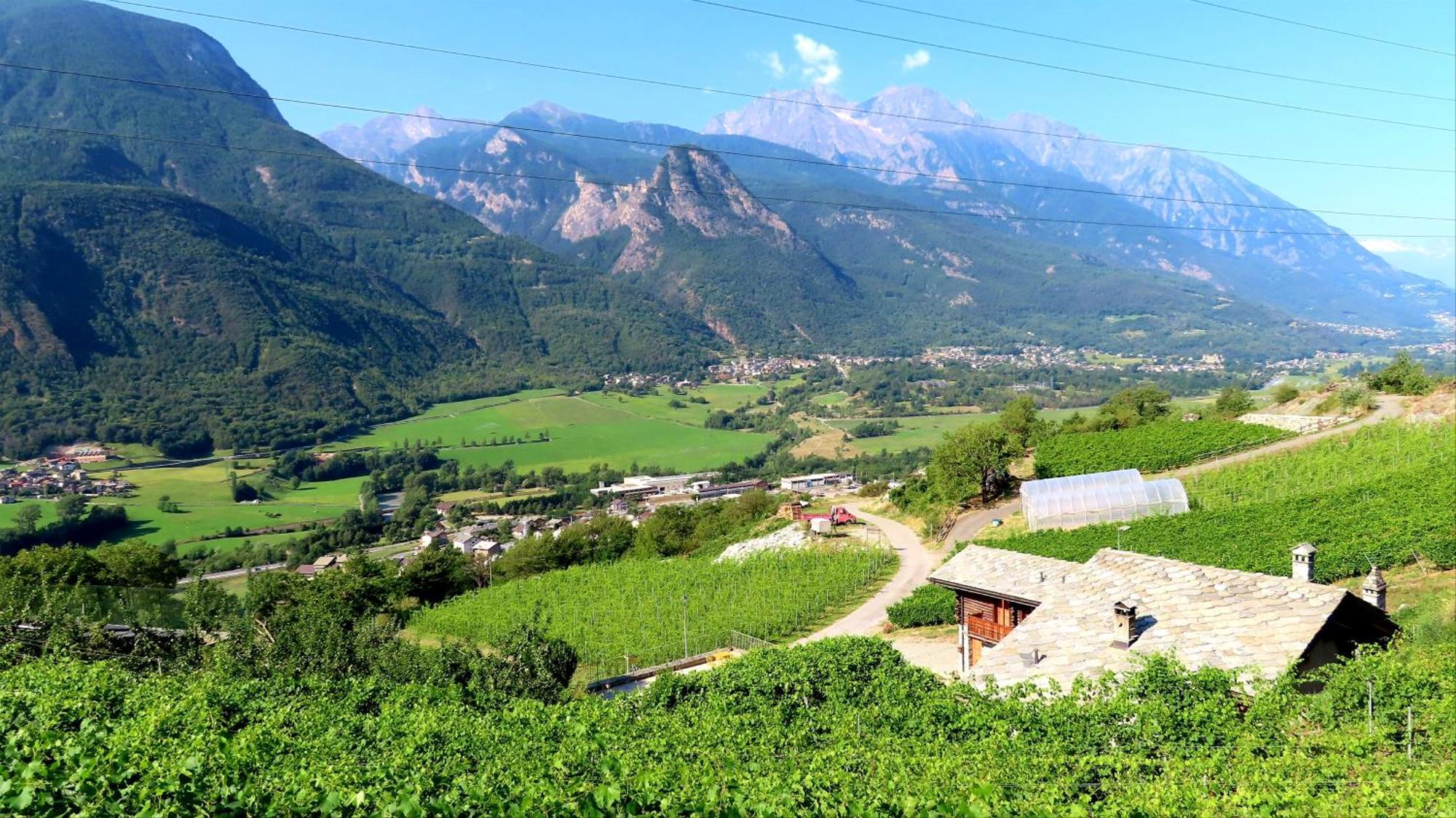 La Vrille - Chambres D'Hotes Verrayes Exteriör bild