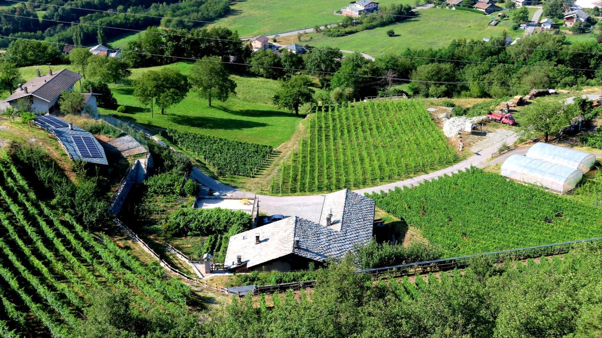 La Vrille - Chambres D'Hotes Verrayes Exteriör bild