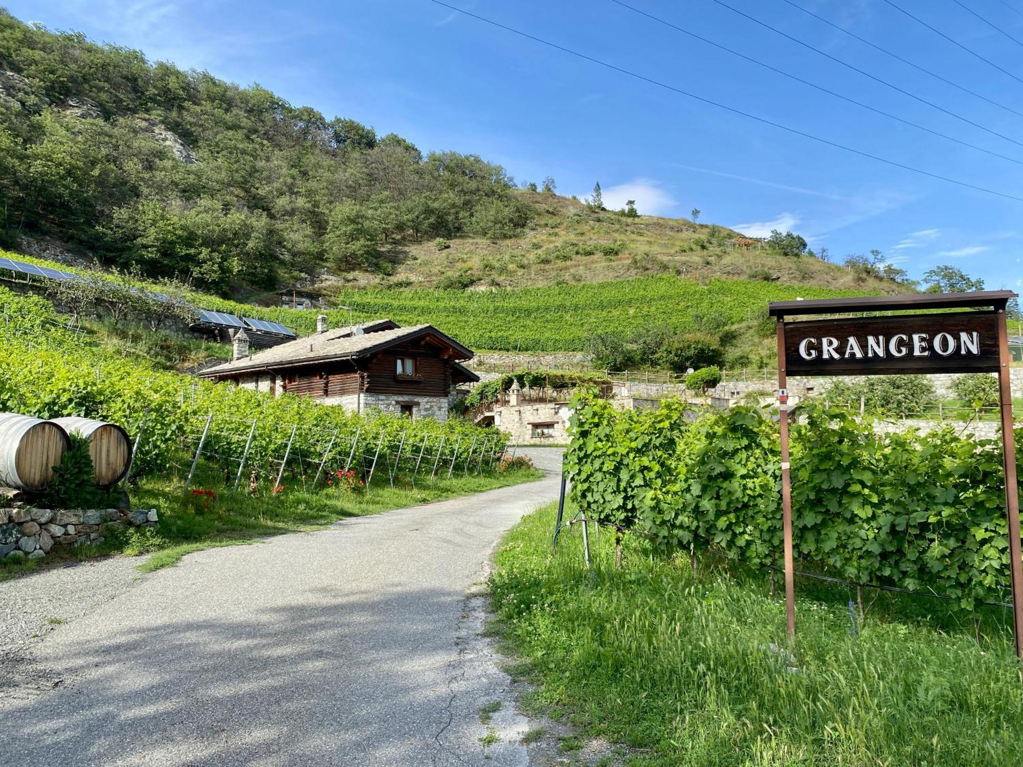 La Vrille - Chambres D'Hotes Verrayes Exteriör bild